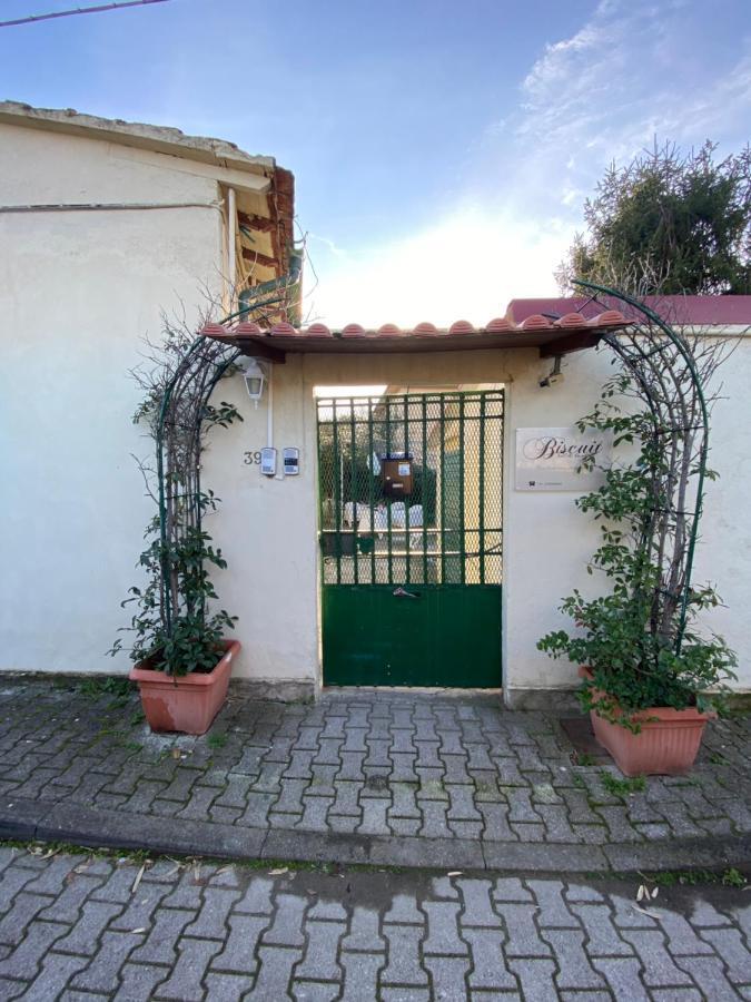 Biscuit B&B Pisa Exterior photo